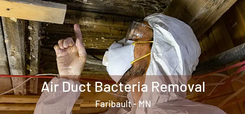  Air Duct Bacteria Removal Faribault - MN