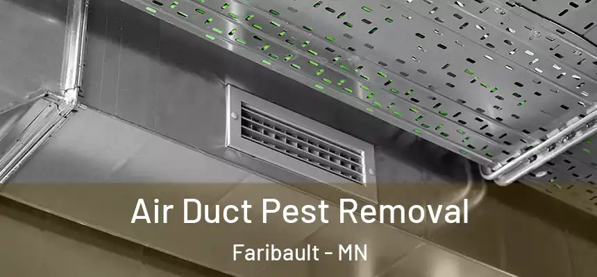  Air Duct Pest Removal Faribault - MN