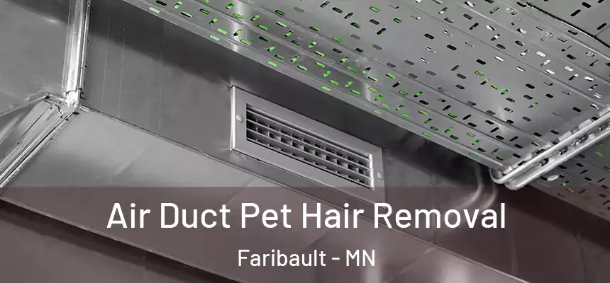  Air Duct Pet Hair Removal Faribault - MN