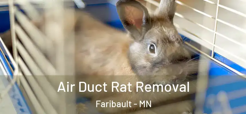  Air Duct Rat Removal Faribault - MN