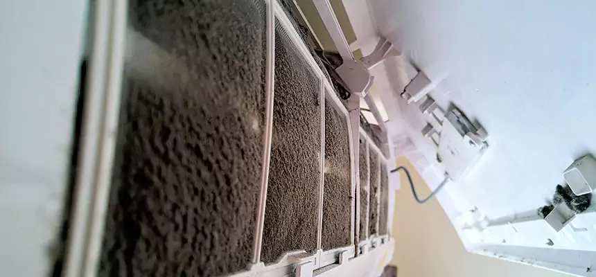 Preventive Air Duct Bacteria Removal in Faribault