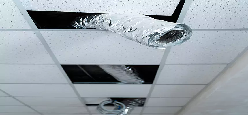 Affordable HVAC Sanitizing After Pest Removal in Faribault