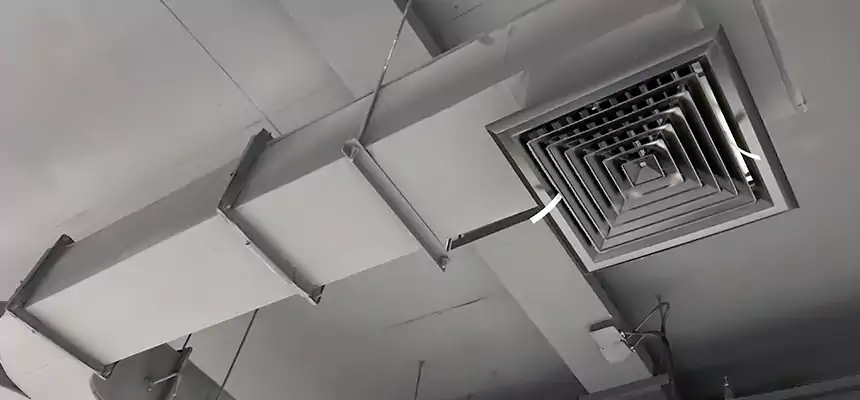 Restorative Allergy Relief Vent Cleaning – Coil, Blower & Housing Detail in Faribault