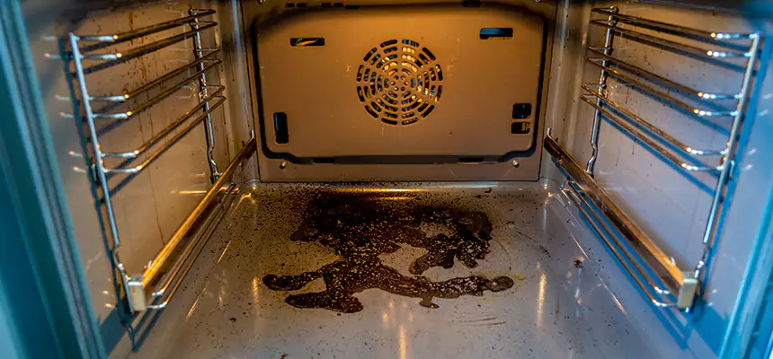 Our Dryer Vent Mold Cleaning Services in Faribault, MN