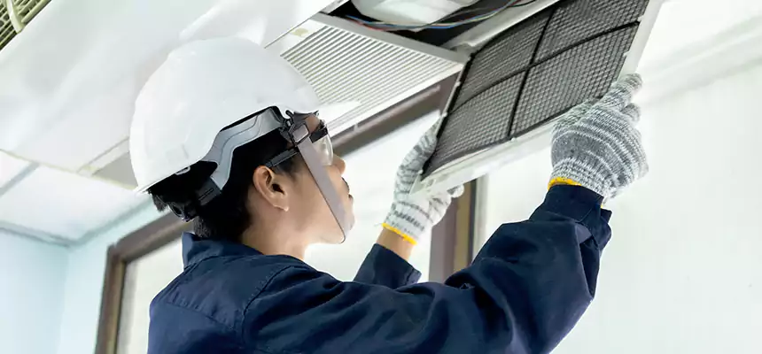 Our Mold & Mildew Removal from Air Ducts Services in Faribault, MN