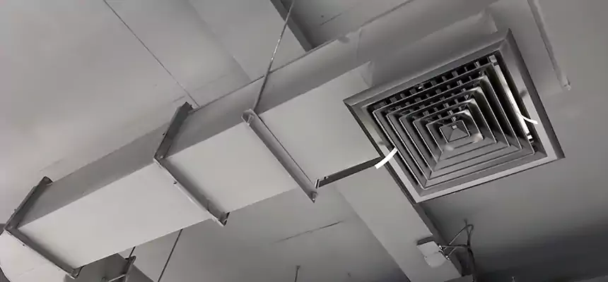 Our Pest Removal From Ducts Services in Faribault, MN