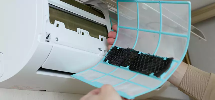 Gentle Ductwork Odor-Control Pet Dander Duct Cleaning in Faribault, MN