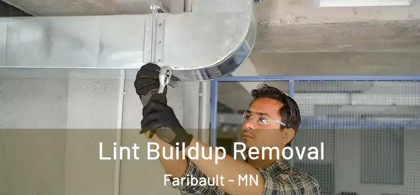  Lint Buildup Removal Faribault - MN