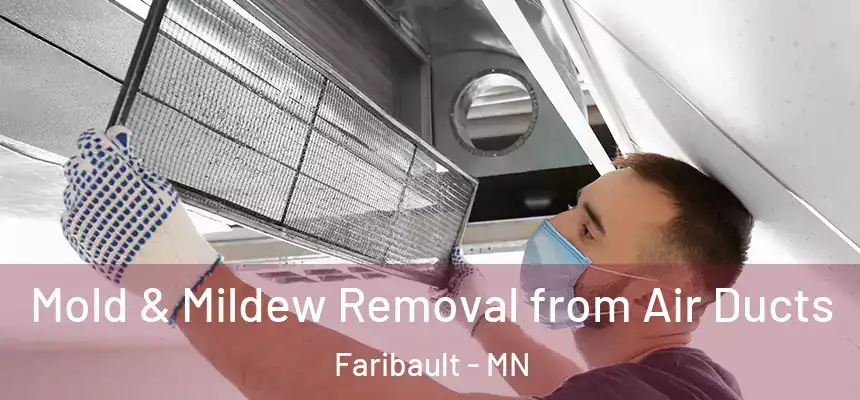 Mold & Mildew Removal from Air Ducts Faribault - MN