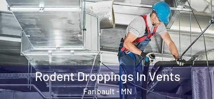 Rodent Droppings In Vents Faribault - MN