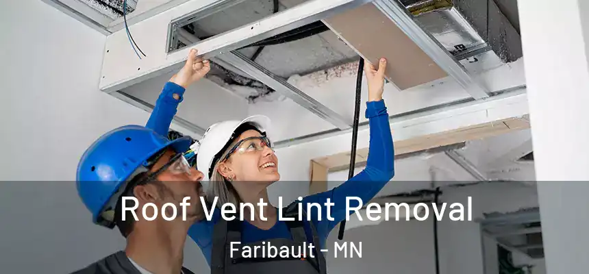 Roof Vent Lint Removal Faribault - MN