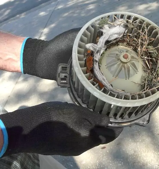 About Air Duct Rat Removal in Faribault, MN