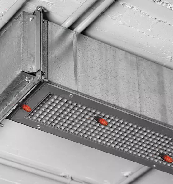 Affordable Insect Removal from Air Ducts in Faribault, MN