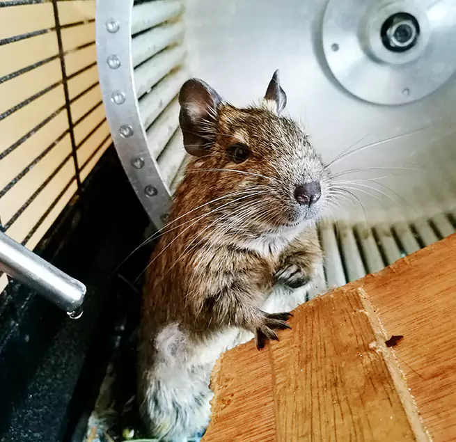 Why Homeowners & Businesses Trust Us Faribault, MN?